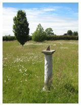 A sundial among the meadow grasses and wildflowers.