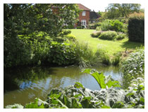 View into the garden.  Garden design in Berkhamsted, Hertfordshire.