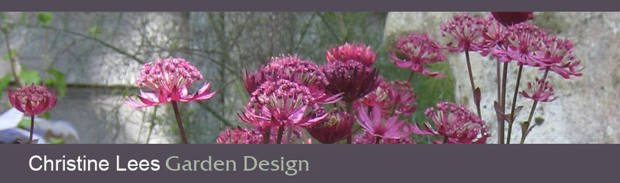 Summer colour, in a mixed border, with flowers and herbs – deep pink astrantia and bronze fennel beside an old statue.