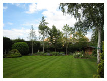 The border five months after planting. Mature trees have been planted, supported by concealed guying.  Hedges have been planted to match the existing hedges around the garden. A chalet provides storage for garden furniture and tools.