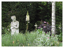 The client’s own statue, placed amongst the planting.  The garden in spring – the aquilegias and tulips are just finishing and the lavender and anthemis are in bud.
