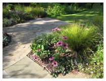 Grasses and evergreen foliage plants give interest in all seasons, while flowers come and go through the year.