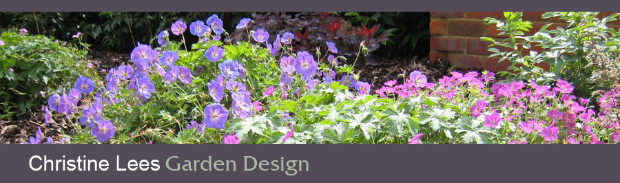 Hardy perennials in a mixed border give vibrant colour and are low maintenance.